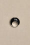 Sophie Buhai - ONYX DIVISION RING