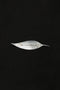 Sophie Buhai - Leaf Brooch