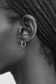 Intrinsic Hoops - Sophie Buhai