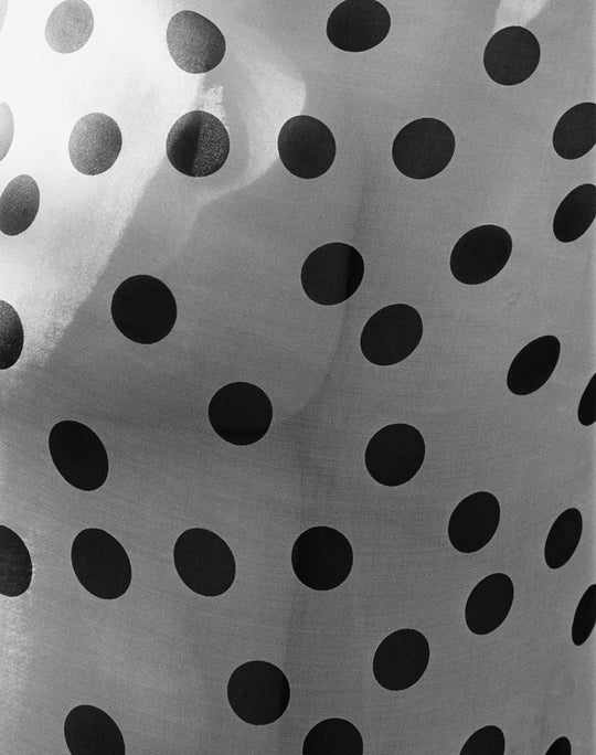 Lookbook - Sophie Buhai