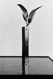 Three Sisters Bud Vase, Moonstone - Sophie Buhai