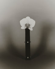 Three Sisters Bud Vase, Moonstone - Sophie Buhai