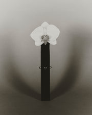 Three Sisters Bud Vase, Jade - Sophie Buhai