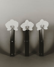 Three Sisters Bud Vase, Carnelian - Sophie Buhai