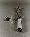 Sophie Buhai - Climbing Thorn Cigarette Holder