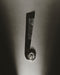 Sophie Buhai - Nautilus Comb in Jade
