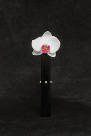 Three Sisters Bud Vase, Jade - Sophie Buhai