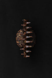 Fan Shell Claw in Ecaille - Sophie Buhai