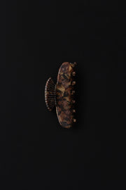 Small Fan Shell Claw in Ecaille - Sophie Buhai