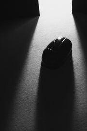 Scarab Pill Box - Sophie Buhai