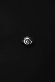 Small Nautilus Ring - Sophie Buhai
