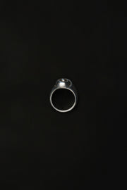 Small Nautilus Ring - Sophie Buhai