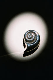 Nautilus Pill Box - Sophie Buhai