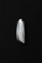 Sophie Buhai - COQUILLE LIGHTER CASE