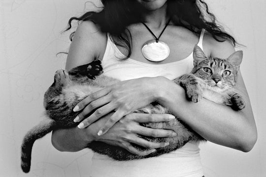 Lookbook - Sophie Buhai