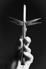 Dragonfly Cigarette Holder - Sophie Buhai