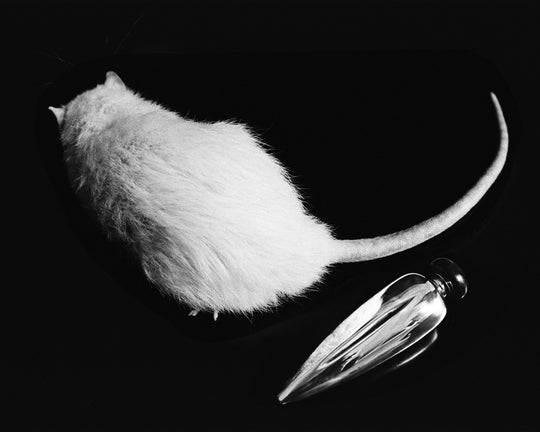 Home - Sophie Buhai