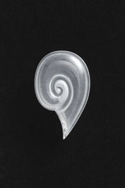 Quartz Coquille Box - Sophie Buhai