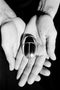 Sophie Buhai - Scarab Pill Box, Sterling Silver