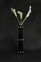 Sophie Buhai - Three Sisters Bud Vase, Moonstone