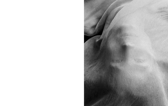 Lookbook - Sophie Buhai