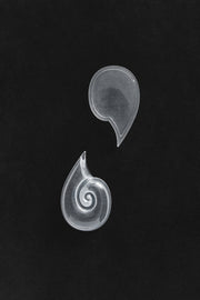 Quartz Coquille Box - Sophie Buhai