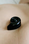 Sophie Buhai - NAUTILUS PILL BOX IN ONYX