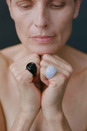 Onyx Nautilus Ring - Sophie Buhai