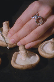 HORSE BIT RING - Sophie Buhai